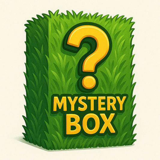 Lucn1c x Bisa Box